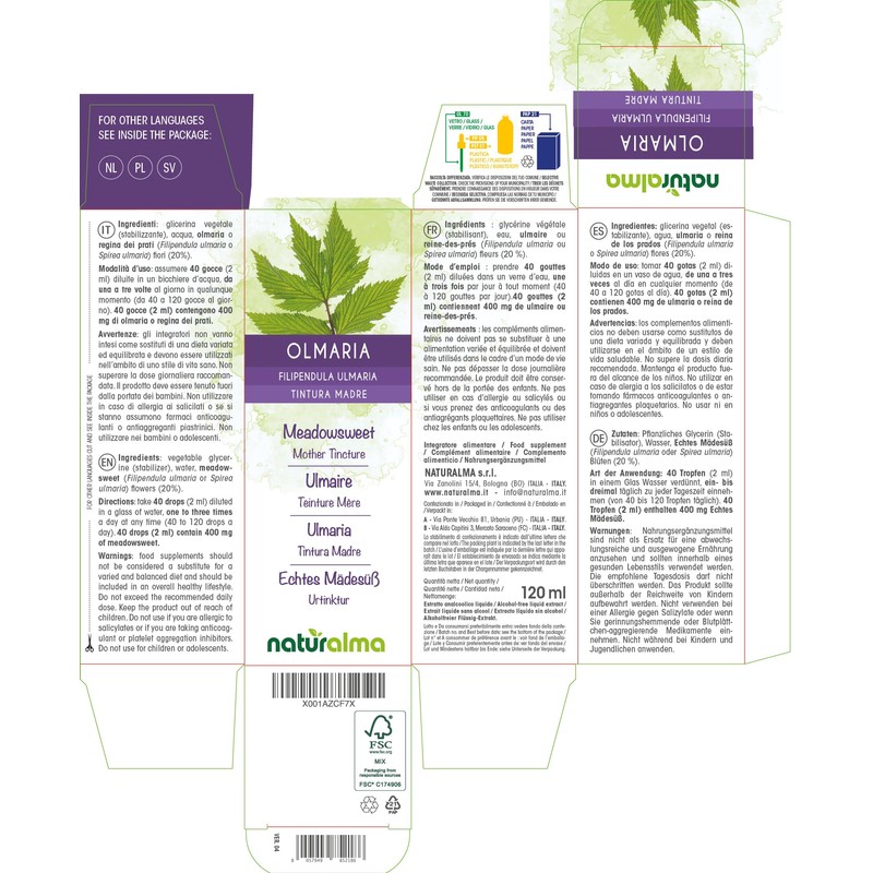 Real Meadowsweet (Filipendula ulmaria or Spirea ulmaria) Flowers Alcohol-free Mother