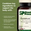 Standard Process Cataplex D - Supports Immune Function, Bone Density