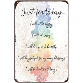 Just for Today I Will Not Be Angry Life Principles Reiki Chakra Healing Yoga Zen Room Retro Tin Sign Vintage Art Home Bar Garage Cafe Shop Wall Decor Metal Plaque 8x12 Inch