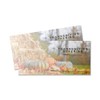 Thanksgiving Offering Envelopes | 3" x 6 5/16" | (500)