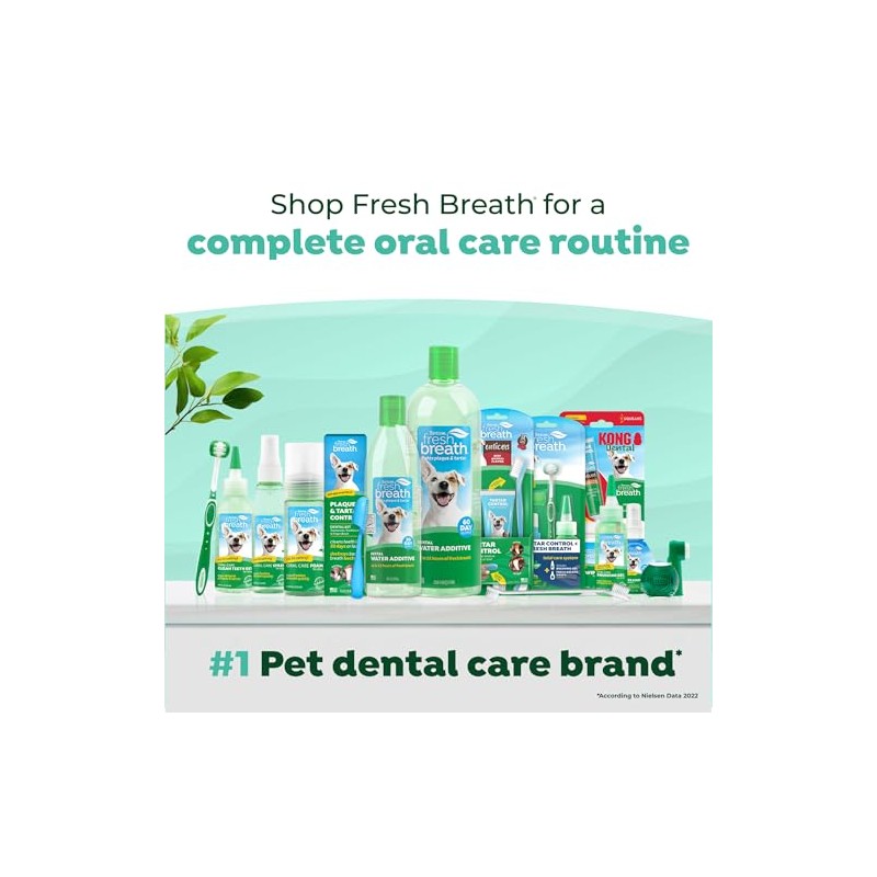 Fresh Breath Clean Teeth Oral Care Gel, 2oz