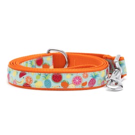 The Worthy Dog Tutti Frutti Lead - Durable Spruce Up Your Pup's Walks Stylish Collar for Dogs and Cats Small Blue