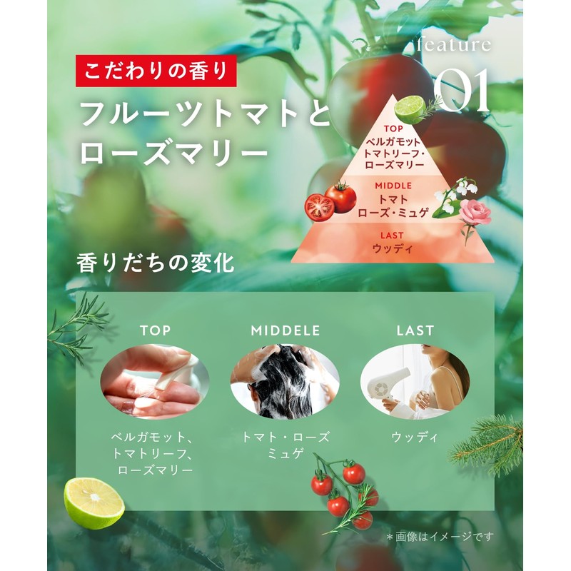 [2025 Summer Limited] Botanist Treatment, Smooth Fruit Tomato & Rosemary