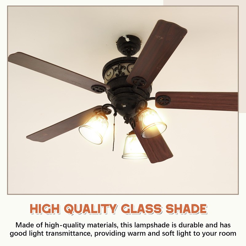 Teenyyou 6 Pcs Clear Glass Globes for Ceiling Fan Lights