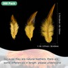 M METERXITY 300-Pack Saddle Hackle Rooster Feather, 3-6 Inch /