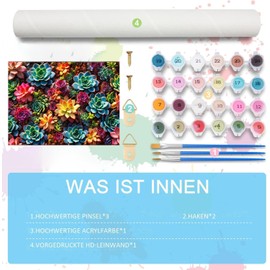 Juicy Paint by Numbers Adult System Paint by Numbers for Adults, Succulent Acrylic Paint by Numbers Adult Set for Gift and Home Decoration (30 x 40 cm)