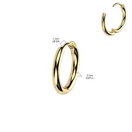 18GA F-136 Implant Grade Titanium 2mm Thick Hinged Round Hoop Earrings, Sold as a Pair (10mm Diameter, Gold Tone)