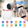 1080P HD WiFi IP Cloud Security Camera Wireless Penguin Shaped