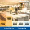 Bulbrite Item 776767, Filament LED Light Bulb, 8.5 Watt, ST18,