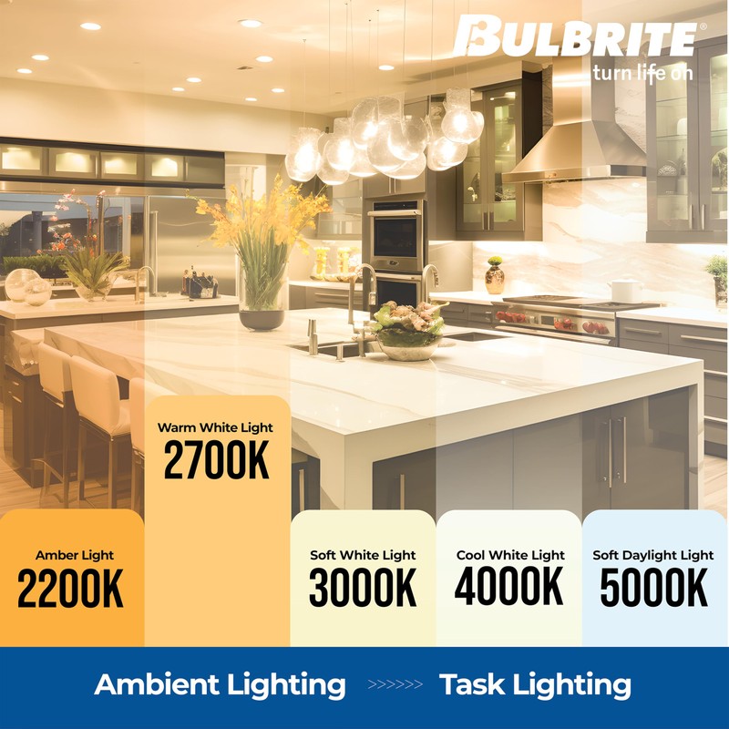 Bulbrite Item 776767, Filament LED Light Bulb, 8.5 Watt, ST18,