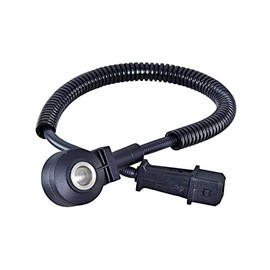 HELLA 6PG 013 114-461 Knock Sensor - 12V - 2-Pin - Connector Housing Shape: Rectangular - with Cable