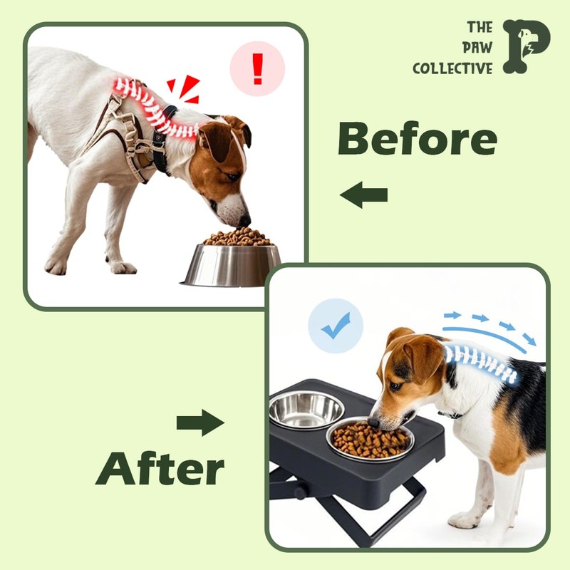 The Paw Collective Elevated Dog Bowl, Adjustable Height, Stainless Steel