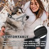 Dog Head Collar, Gentle Harness Walks with Reflective Strap to