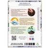 Seed Needs, Chicory Seeds - 500 Heirloom Seeds for Planting