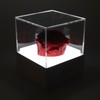 Rose Night Light Romantic Small USB Charging Soft Brightness Decoration