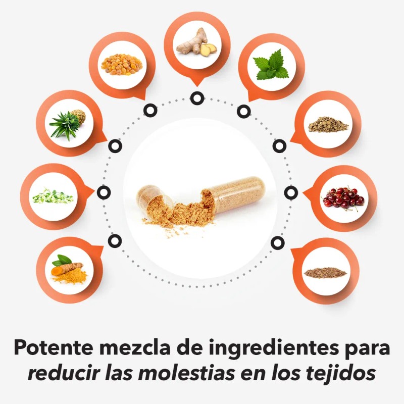 Lifeseasons Inflamma-x Suplemento De Curcuma, 60 Cápsulas Sabor Sin Sabor