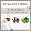 Daily Aroma Kochi Prefecture Yuzu Mini Hand Cream Panda 20g