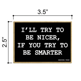 Honey Dew Gifts, I'll Try to Be Nicer If You Try to Be Smarter, Fridge Magnets, Refrigerator Magnet, Funny Magnets, Locker Decorations, Funny Coworker Gifts, 2.5 inch by 3.5 inch, 754520