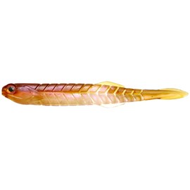 Issei Katakuchi Worm Yabakune 4.5#38 Wakasagi (NS)