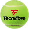 Technifibre TBA4XE1 Tennis Balls, X-ONE, 4 Balls, 1 Can