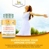 Organic Veda Turmeric and Ginger Capsules 300 Pills - Organic