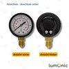 Lumonic I Pressure Gauge 0-6.0 Bar I 1/4 Inch I