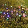 Outdoor Solar Lawn Ground Lamp Firework Light String Waterproof Solar