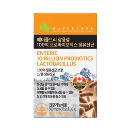 MapleTree Enteric 10 Billion Live Probiotics 500mg x 60 Capsules / 메이플트리 장용성 100억 프로바이오틱스 생유산균 500mg x 60캡슐