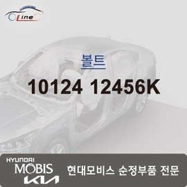 Hyundai Mobis Bolt 10124 12456K / 볼트 10124 12456K