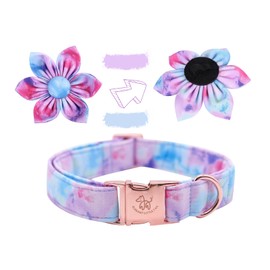 Elegant little tail Colorful Dog Collar for Female or Male Dogs, Flower Pet Collar Adjustable Dog Collars Gift for X-Small Dogs and Cats