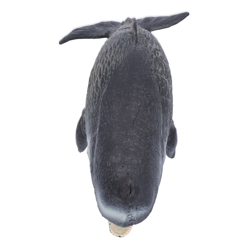 Realistic Sperm Whale Replica Simulated Marine Animal Model Educational Collector