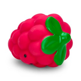 Petface Foodie Faces Latex Raspberry Dog Toy with Built-In-Squeaker, Small (Pack of 1)