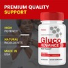(2 Pack) Gluco Advance Capsules, Gluco Advanced Blood Support Supplement