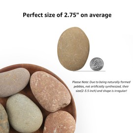 40 LBS Large Natural River Rocks – 2-3.5 Inch Unpolished Decorative Pebbles for Landscaping, Garden Paving, Fish Tanks, Plant Rocks, Crafting, Walkways, and Painting