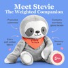 Weighted Anxiety Comfort Animal – 5 lb Grey Sloth Calming