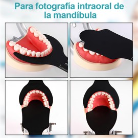 LANBONE 6pc Kit De Base De Molde De Contraste De Fondo Negro De Fotografía De Contraste Intraoral Dental para Fotografía Palatal Muebles