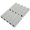 Coral 41871 Aspire 4 inch 10 Piece Pack Paint Mini