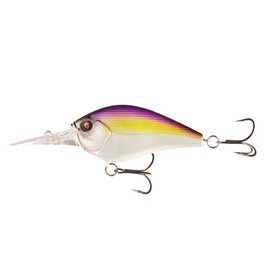 Cliff Banger 12ft Purple Nurple