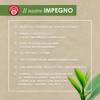 Pompadour, Infuso Zenzero e Limone, 60 Filtri (3 Confezioni da