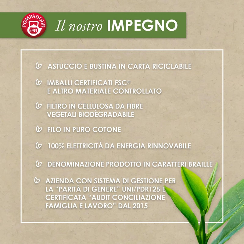 Pompadour, Infuso Zenzero e Limone, 60 Filtri (3 Confezioni da