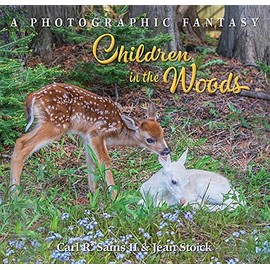 Children in the Woods (A Photographic Fantasy)