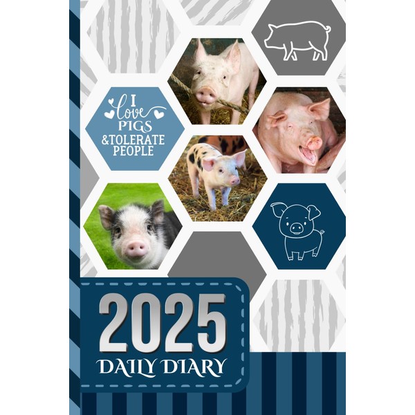 2025 Daily Diary: One Page Per Day / 6x9 Dated