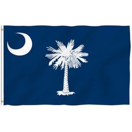 Anley Fly Breeze 3x5 Foot South Carolina State Polyester Flag - Vivid Color and Fade proof - Canvas Header and Double Stitched - South Carolina SC Flags with Brass Grommets 3 X 5 Ft