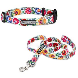 Lucky Love Dog - Easy Click Buckle Dog Collar with Leash Set Combo, Durable & Comfortable for Male & Female Dogs, Pet Collar for Small to Large Dogs, Secure Fit - Ladybird Combo, Small