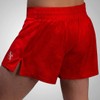 Hayabusa Arrow Kickboxing Shorts - Red, 38