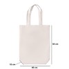 IMFAA Single Tone 10oz X-Large (50x40+10) Cm 100% Cotton Canvas