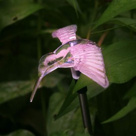 EZiGarden Solar Powered Outdoor Garden LED Light Color Charging Figurine Stake Landscape Light Waterproof Hummingbird Lawn Lamp for Sidewalk Terrace Pathway Walkway Driveway Yard & Lawn Decorations