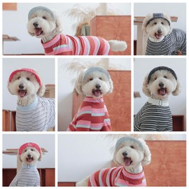 Pet hat with Ear Holes Sunscreen Baseball Cap Suitable for Small and Medium-Sized Dogs Outdoor Climbing hat in Summer Pet Products (Black and White, XX-Large)