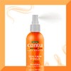 Cantu Coil Calm Detangler, 8 Fluid Ounce