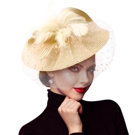 DRESHOW Fascinators Hat Mesh Veil Feathers Hat with a Headband and a Clip Tea Party Headwear for Women